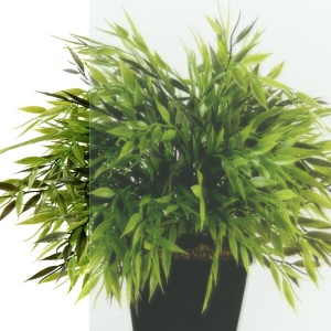 Душевое ограждение Вента-Блэк 90x90 с поддоном 